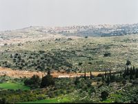 The wall will enclose Ras Atiya in a  cul de sac. In the horizon you can see the settlement Alfe Menashe.