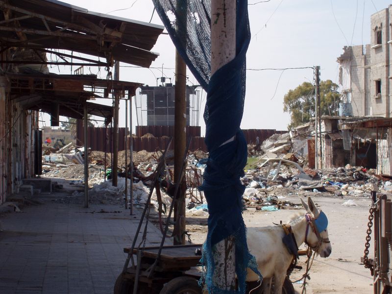 This watchtower is at the end of the market street, Salah'din road. The road ends at no mans land, the border to Egypt. We visited the market a day in March 2003 and several times during our three hour visit, the vendors and the customers had to seek cover when machine guns without warning were fired from the watchtower. We saw or heard no provocations or firing back from the palestinians. People seemed used to this scenario......