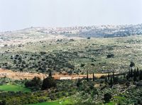 View from Ras Atiya. Preparation for the wall. In the horizon, an Israeli settlement.