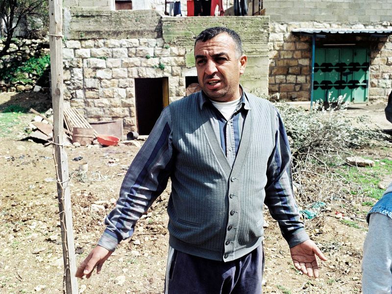 All of this farmers olive trees was cut down by Israeli settlers the night before. 